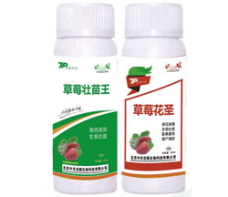 草莓专用叶面肥