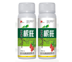 草莓高效调节剂