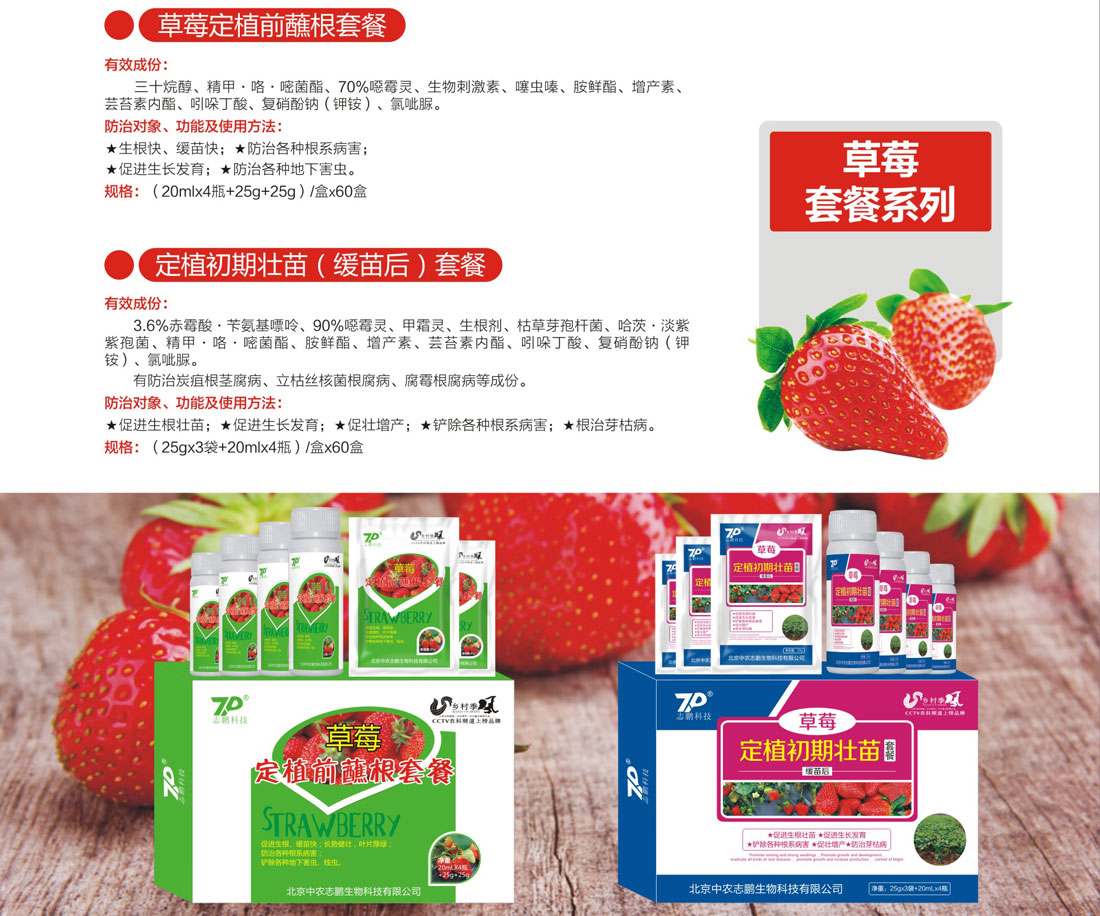草莓套餐系列