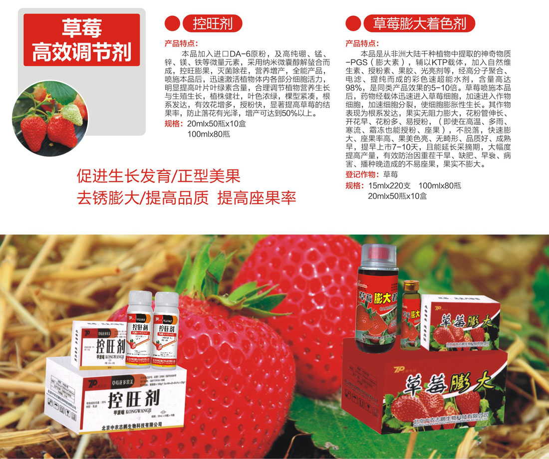 草莓高效调节剂